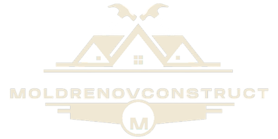 MoldRenovConstruct